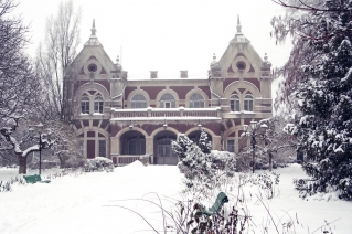 Țaul Park and Pommer manor